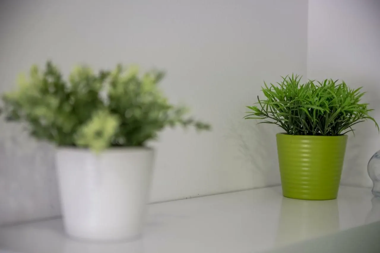 Apartments In The City Rijeka Croatia